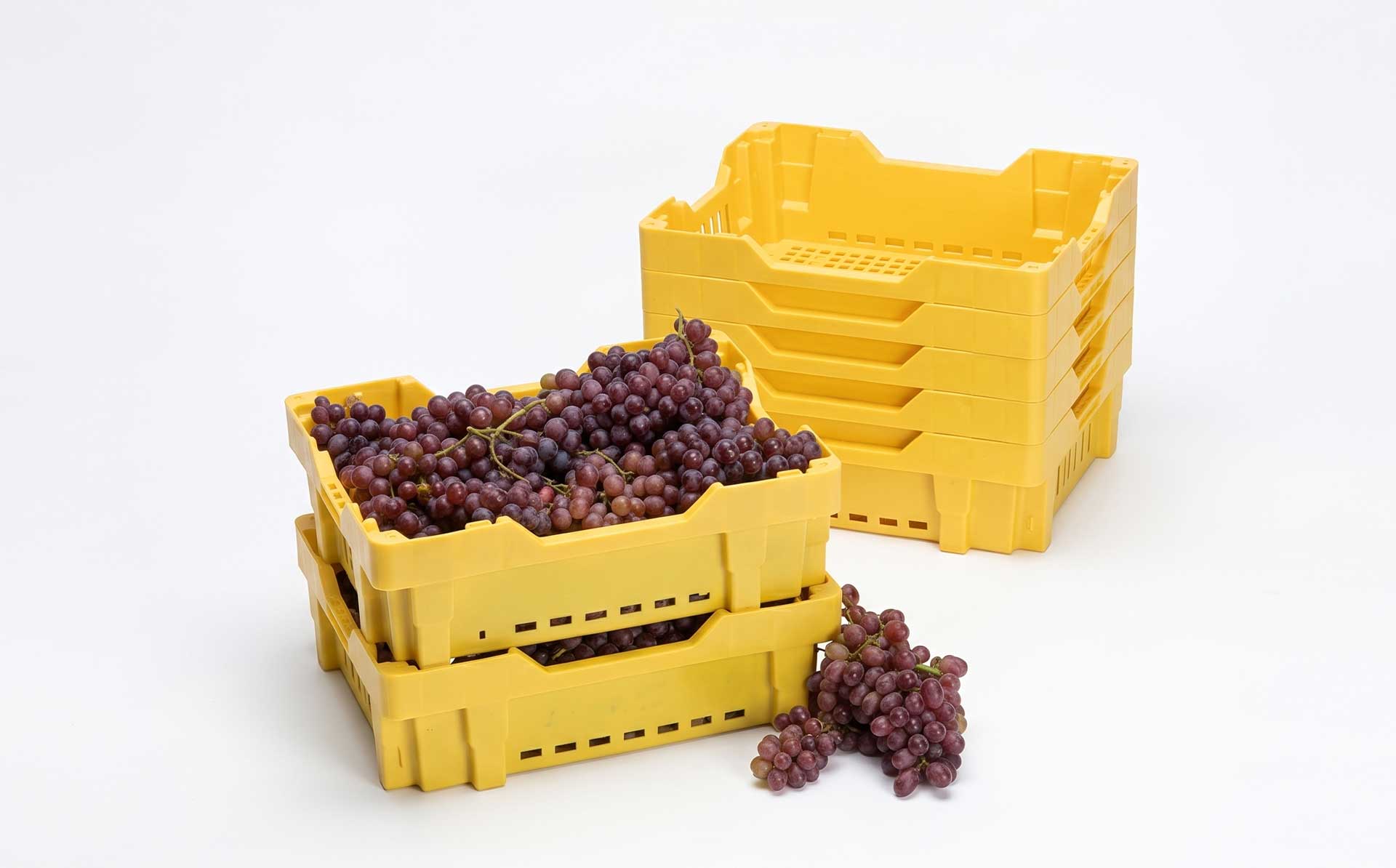 Farm Grape, Cherry & Blueberry Orchard-Dedicated Logistics Box Mold — Product Introduction (Motek Turnover Box Mold Series)