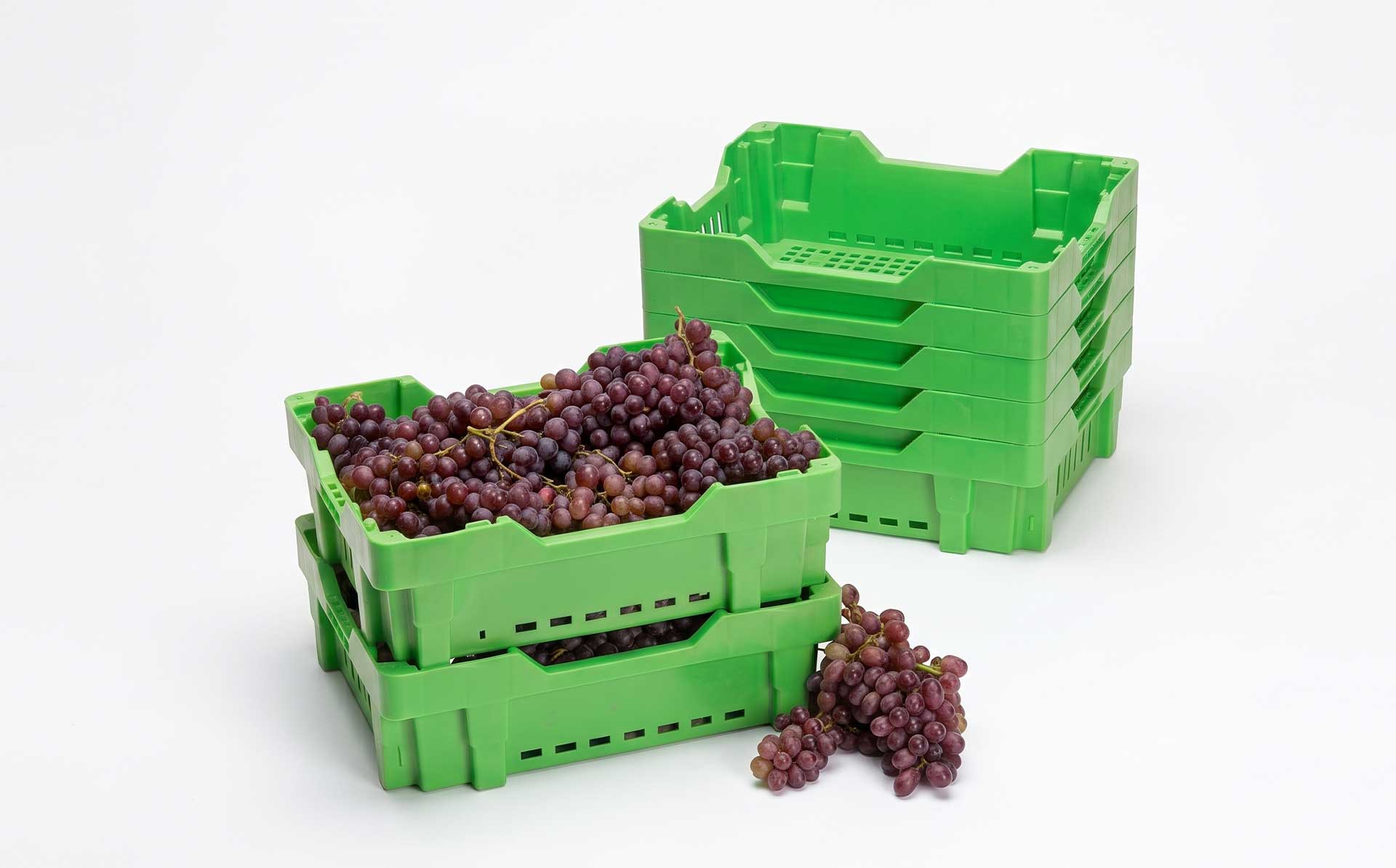 Farm Grape, Cherry & Blueberry Orchard-Dedicated Logistics Box Mold — Product Introduction (Motek Turnover Box Mold Series)