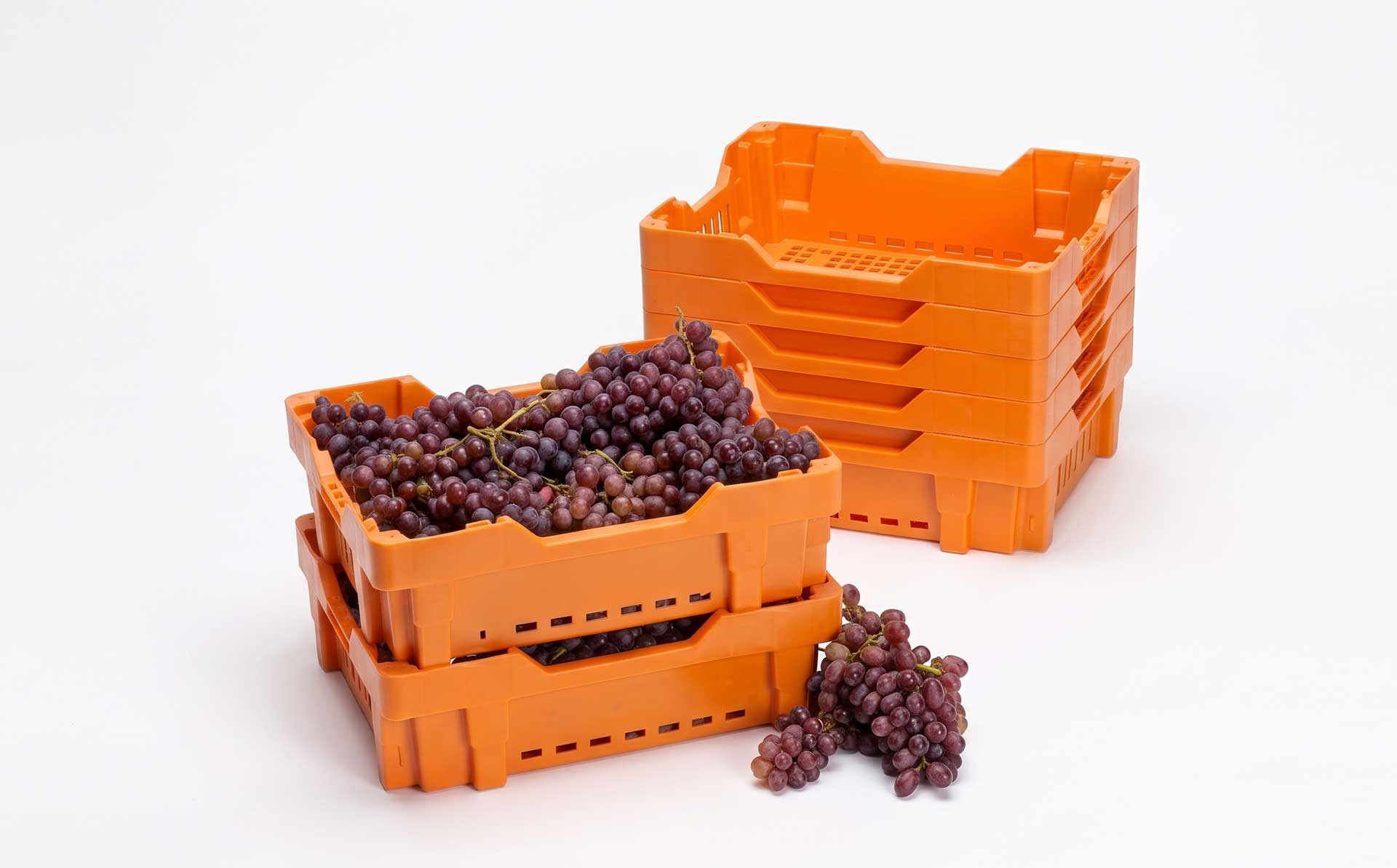 Farm Grape, Cherry & Blueberry Orchard-Dedicated Logistics Box Mold — Product Introduction (Motek Turnover Box Mold Series)